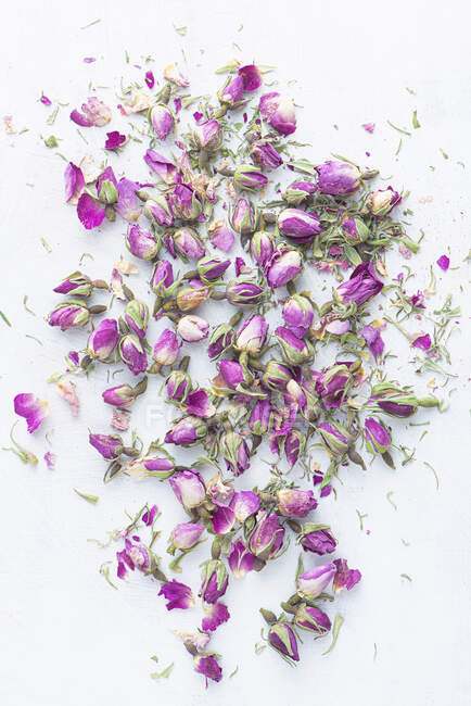 Trockene Blumen auf weißem Hintergrund — Stockfoto