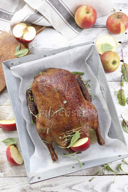 Canard rôti aux pommes, vue sur le dessus — Photo de stock