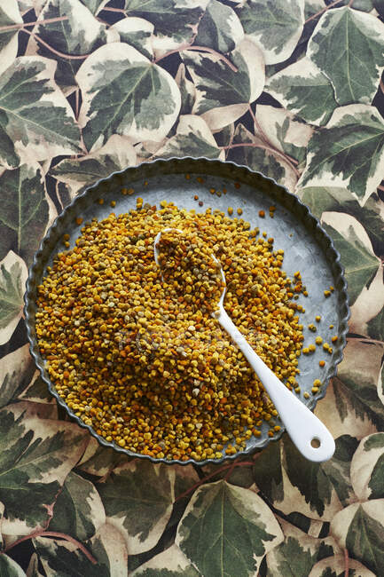 Bee pollen in metal tin with spoon — Stock Photo