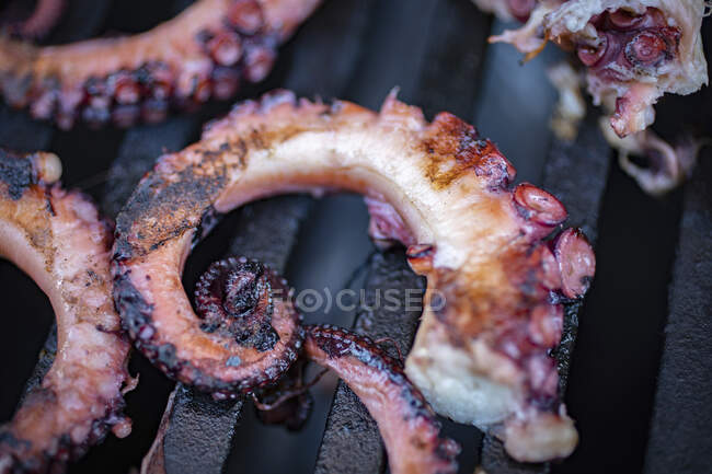 Grilled octopus close-up view — Stock Photo