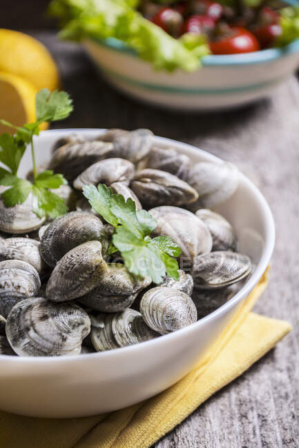 A dish of clams on the table ready to cook — Stock Photo