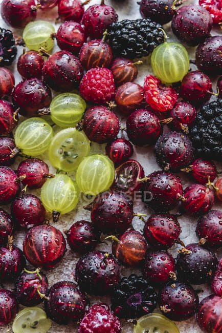 Uva spina fresca, lamponi e more con gocce d'acqua — Foto stock