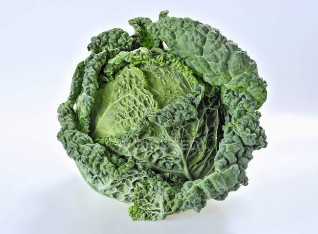 Fresh green cabbage on white background — Stock Photo