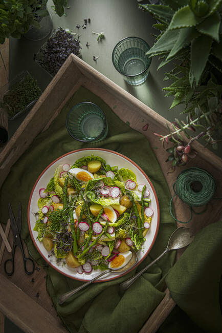 Весенний салат с яйцами, спаржей, новым картофелем, редиской, микрозеленью и салатом из драгоценных камней — стоковое фото