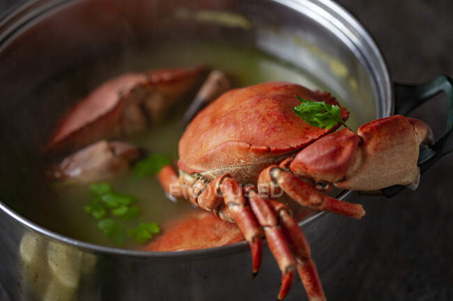 Crabes cuits, gros plan — Photo de stock