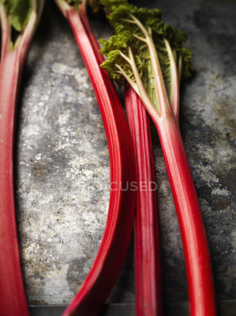 Fresh red rhubarb on rustic metal surface — Stock Photo