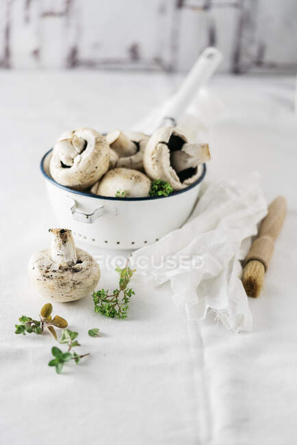 Крупним планом знімок смачних грибів — стокове фото