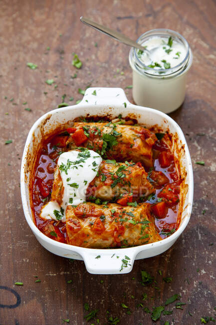 Cabbage wraps with a tomato and vegetable sauce and yoghurt — Stock Photo