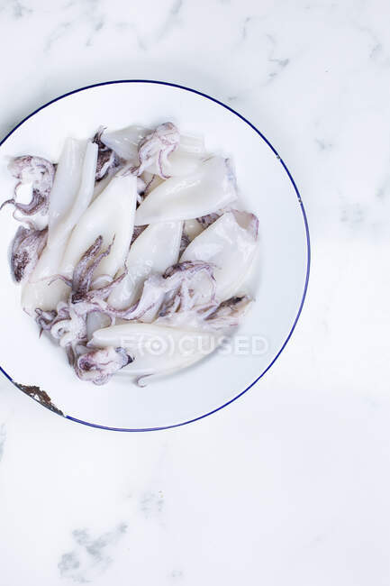 Calamari grezzi in lastra di smalto su superficie marmorea — Foto stock