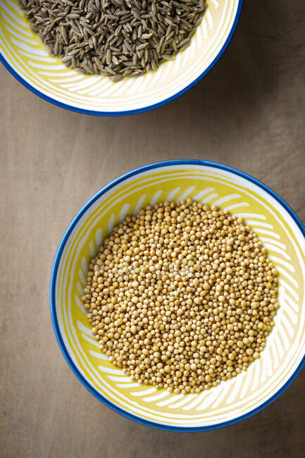 Yellow Mustard Seeds, closeup shot in studio — Stock Photo