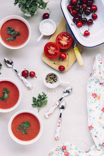 Tomato soup with fresh vegetables and herbs on a white plate — Stock Photo