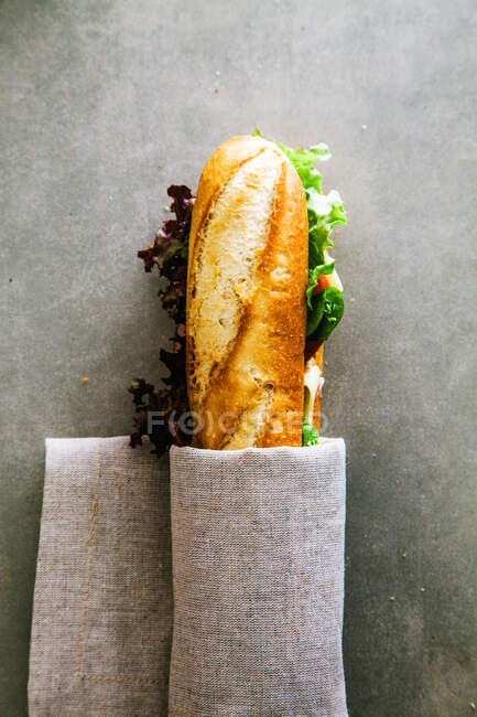 Close-up shot of delicious Deli sandwich with vegetables — Stock Photo