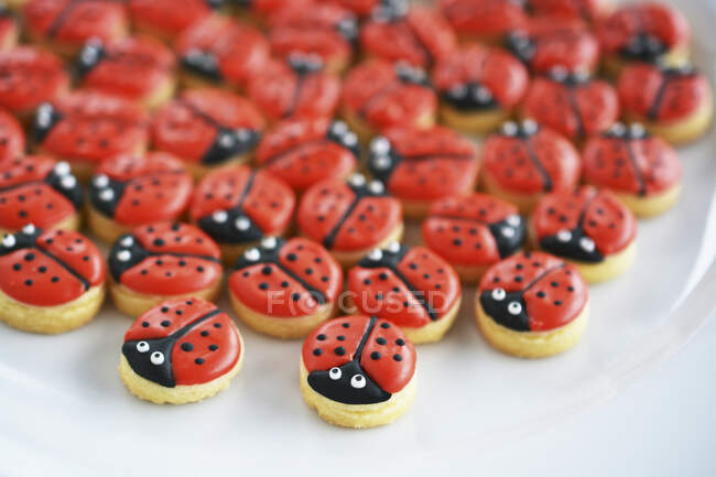 Beaucoup de petits biscuits motif coccinelle — Photo de stock