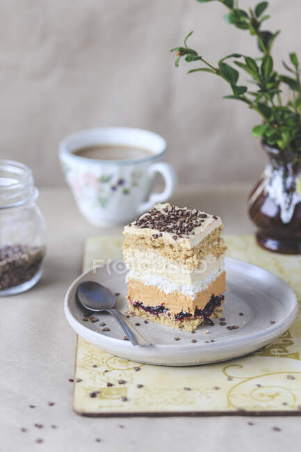 Листковий торт з належним де-лечем, кокосовим обсмажуванням та заморожуванням кави — стокове фото