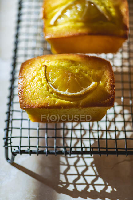 Zitronen-Kurkuma-Kuchen auf Eisenständer — Stockfoto