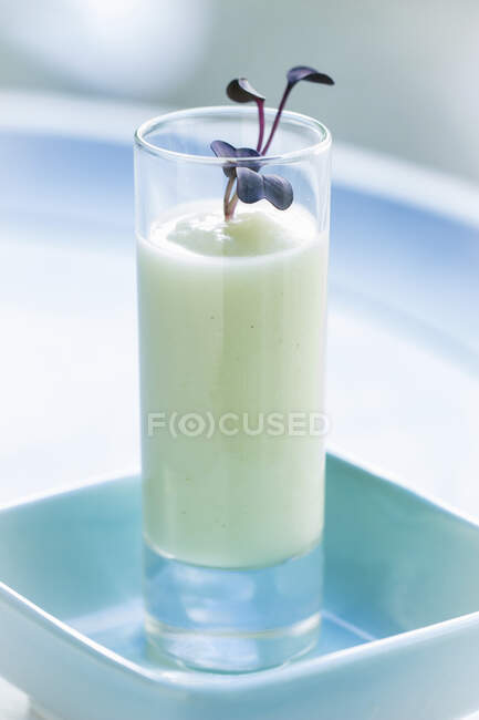 Fennel cream soup with purple cress in a glass against a light blue background — Stock Photo