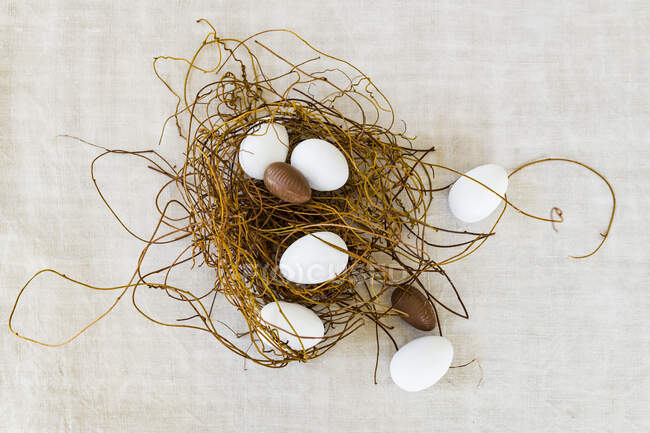 Пасхальное яичное гнездо, крупный план в студии — стоковое фото