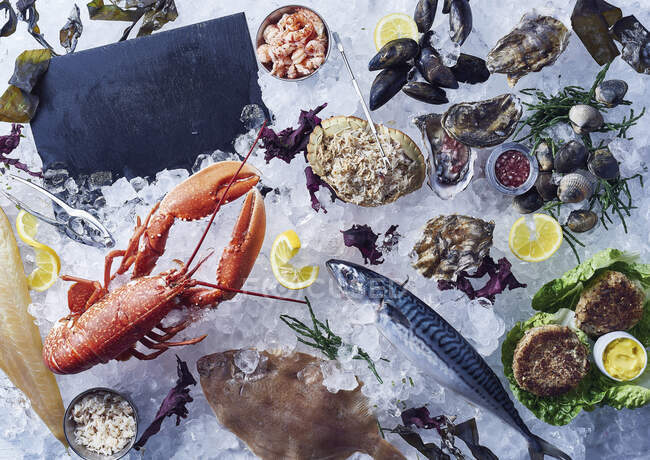 Fish, crustaceans, mussels, seaweed and samphire grass — Stock Photo