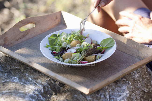 Summer garden salad with ew potatoes, radish, broad beans, courgette and red onion — Stock Photo