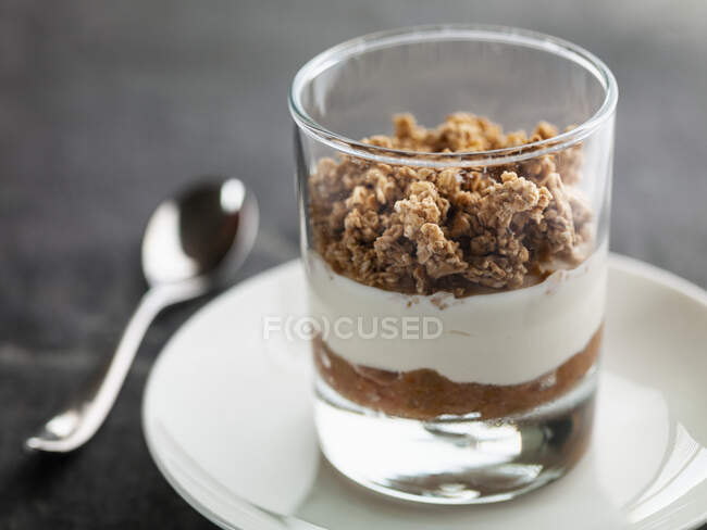 Granola muesli with yogurt and rhubarb puree — Stock Photo