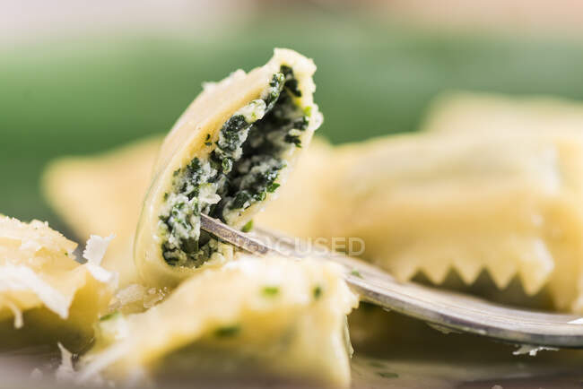 Close-up shot of delicious Ravioli with herb filling — Stock Photo
