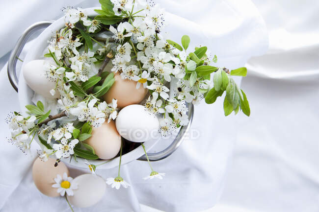 Яйца и вишня распускают ветви в качестве весенних украшений — стоковое фото