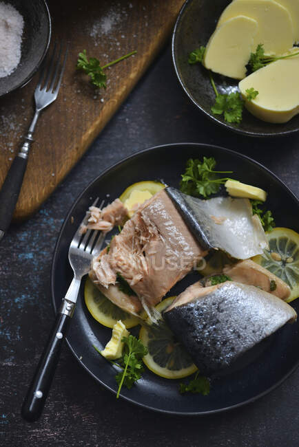 Two bells from Norwegian salmon on lemons, Fit dish — Foto stock