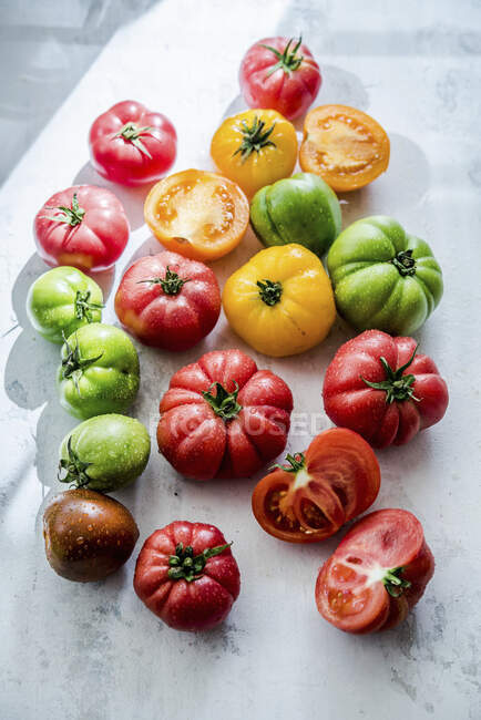 Свежие помидоры и базилик на белом фоне — стоковое фото