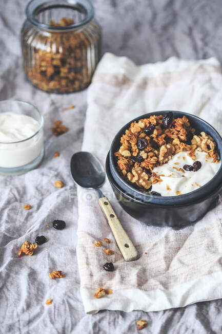 Homemade granola with yoghurt and raisins in bowl — Stock Photo