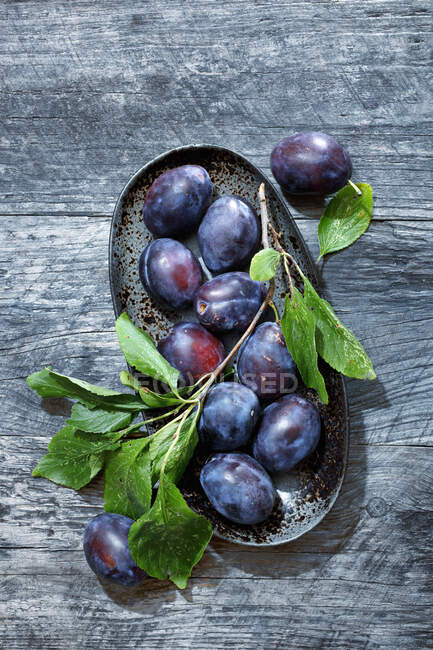Plan rapproché de délicieuses prunes avec des feuilles dans un bol — Photo de stock