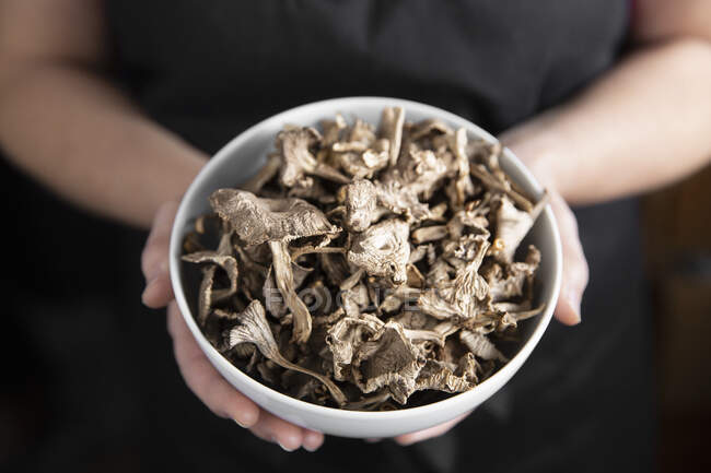Cropped shot of person holding bowl of dried mushrooms — Stock Photo