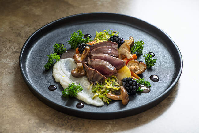 Pigeon breast with mushrooms. jerusalem artichoke puree, fondant potatoes, kale and shreded brussel sprouts with walnuts. — Stock Photo