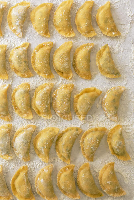 Homemade ravioli with spinach, ricotta and salmon, ready to be cooked — Stock Photo