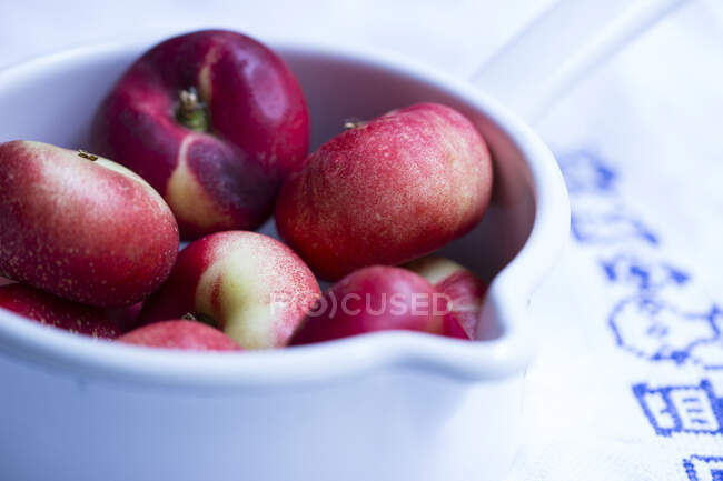 Freshly harvested nectarines in white container — Stock Photo