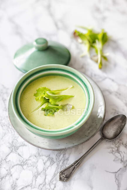 Cream soup from lettuce — Stock Photo