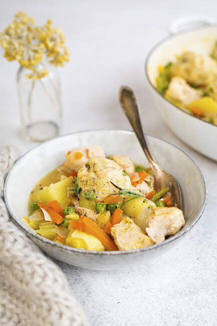 Close-up shot of delicious Chicken Casserole with Dumplings — Stock Photo