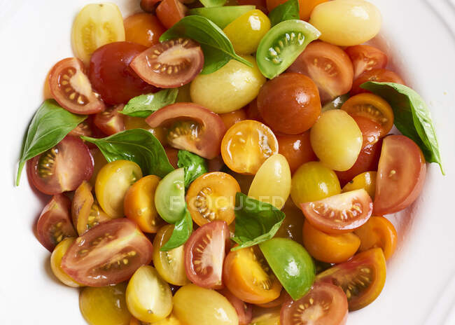 Colourful tomato salad with basil — Stock Photo