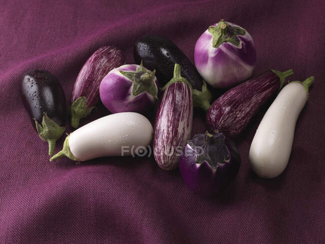 Fresh vegetables on a purple background — Stock Photo
