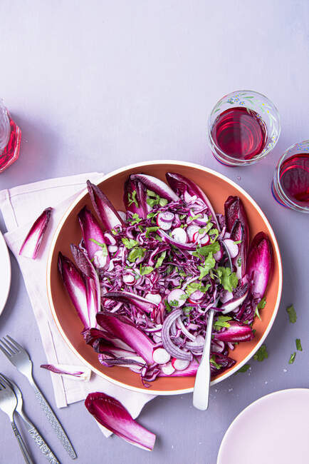 Salade pourpre au chou rouge, radichio, radis, oignon rouge avec vinaigrette à la moutarde et persil (végétalien, végétarien) — Photo de stock