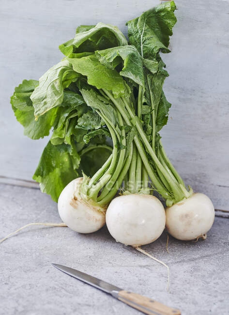 Frisches grünes Gemüse auf einem hölzernen Hintergrund — Stockfoto