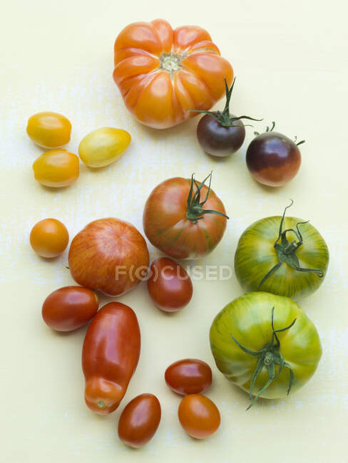 Pomodori freschi su sfondo bianco — Foto stock