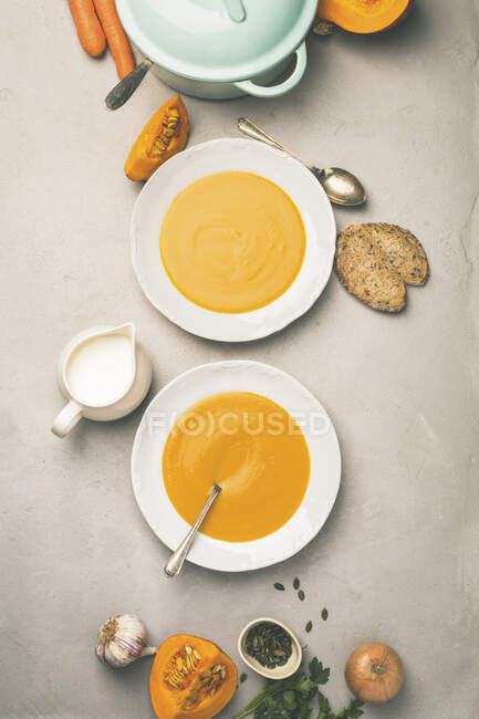 Sopa de abóbora caseira e ingredientes — Fotografia de Stock