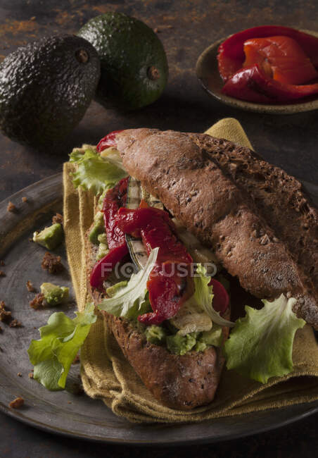 Involtini di verdure con crema di avocado, verdure alla griglia, lattuga e peperoncino — Foto stock