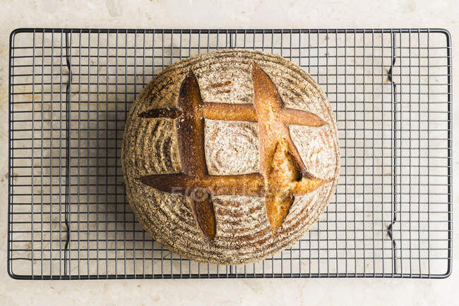 Mixed grain bread on a cooling rack — Stock Photo