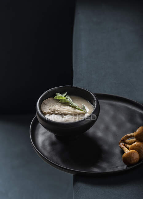 Грибной суп с устричными грибами — стоковое фото