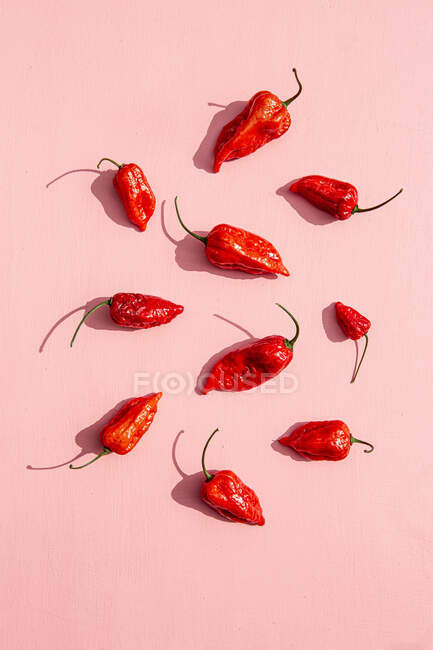 Fresh red chili peppers on a pink background — Stock Photo