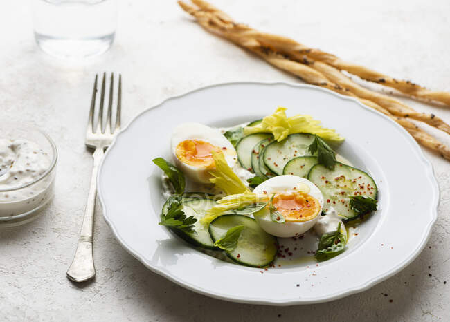 Close-up shot of delicious Egg and cucumber salad — Stock Photo