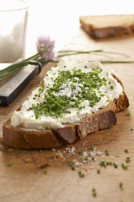Ломтик хлеба со сливочным сыром и луком — стоковое фото