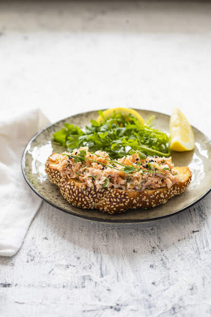 Salmon tartare on a bagel — Stock Photo