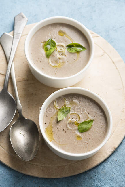 Two Mushroom soup, closeup of two bowls — Stock Photo